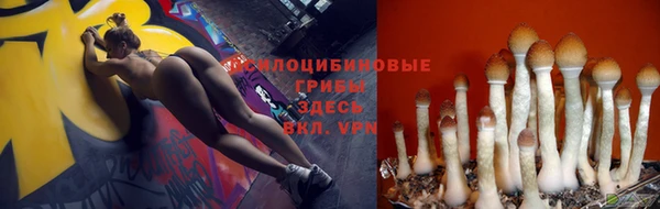первитин Горняк